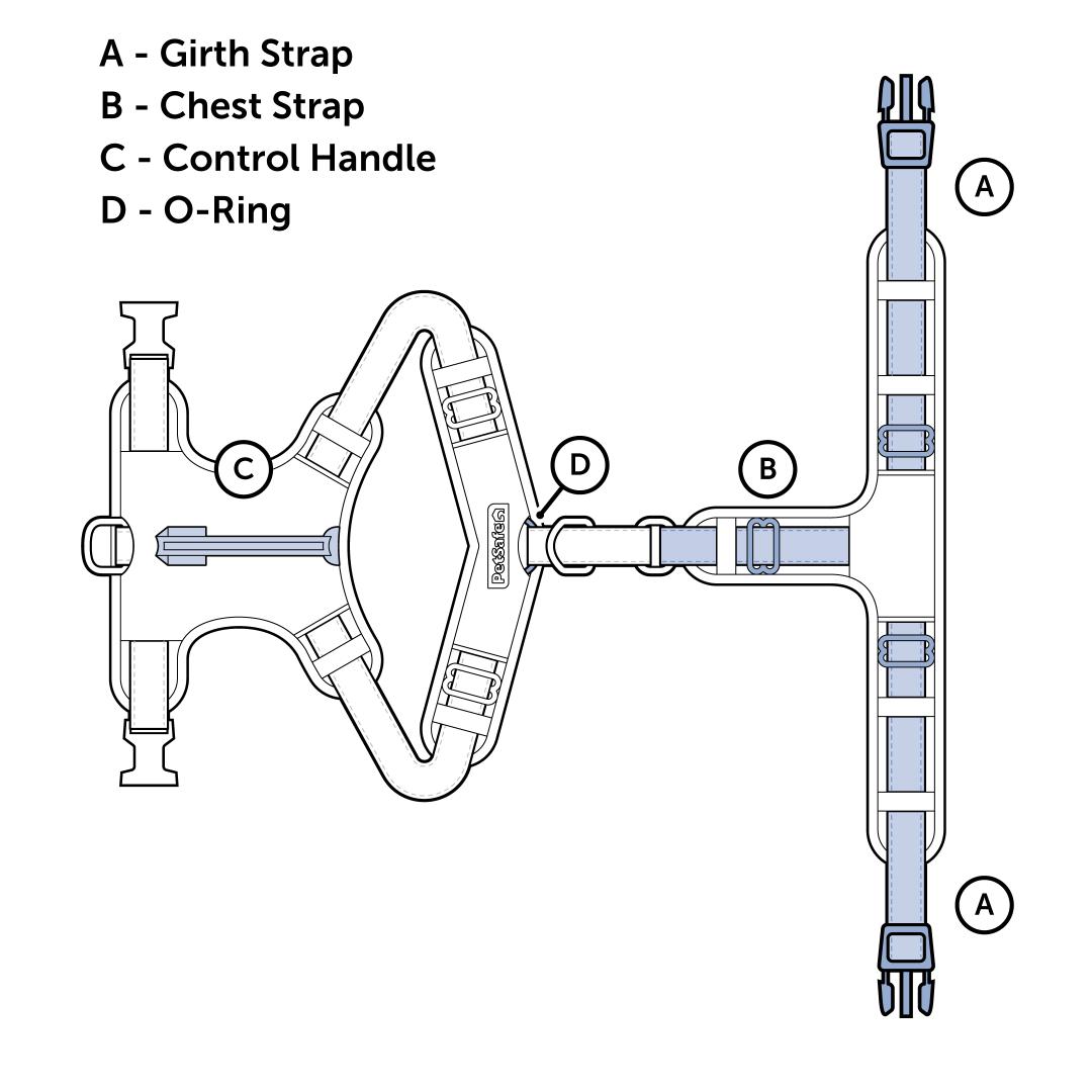 Diagram Of Harness