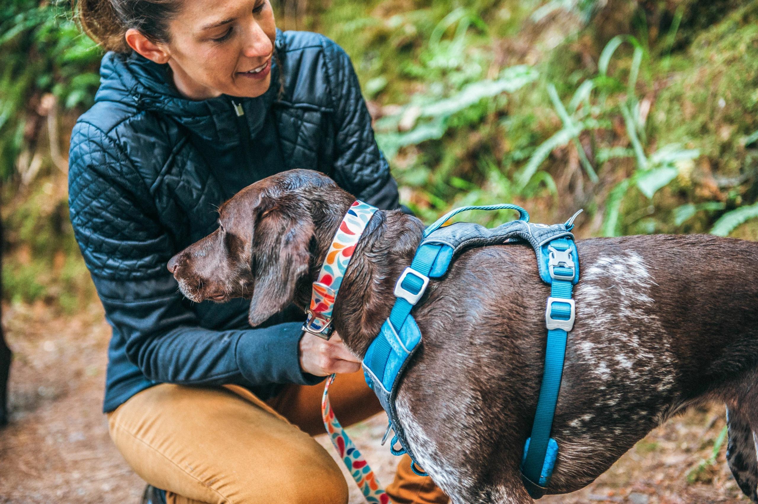 Top Tips for Hiking with your Dog - Kurgo Dog Products