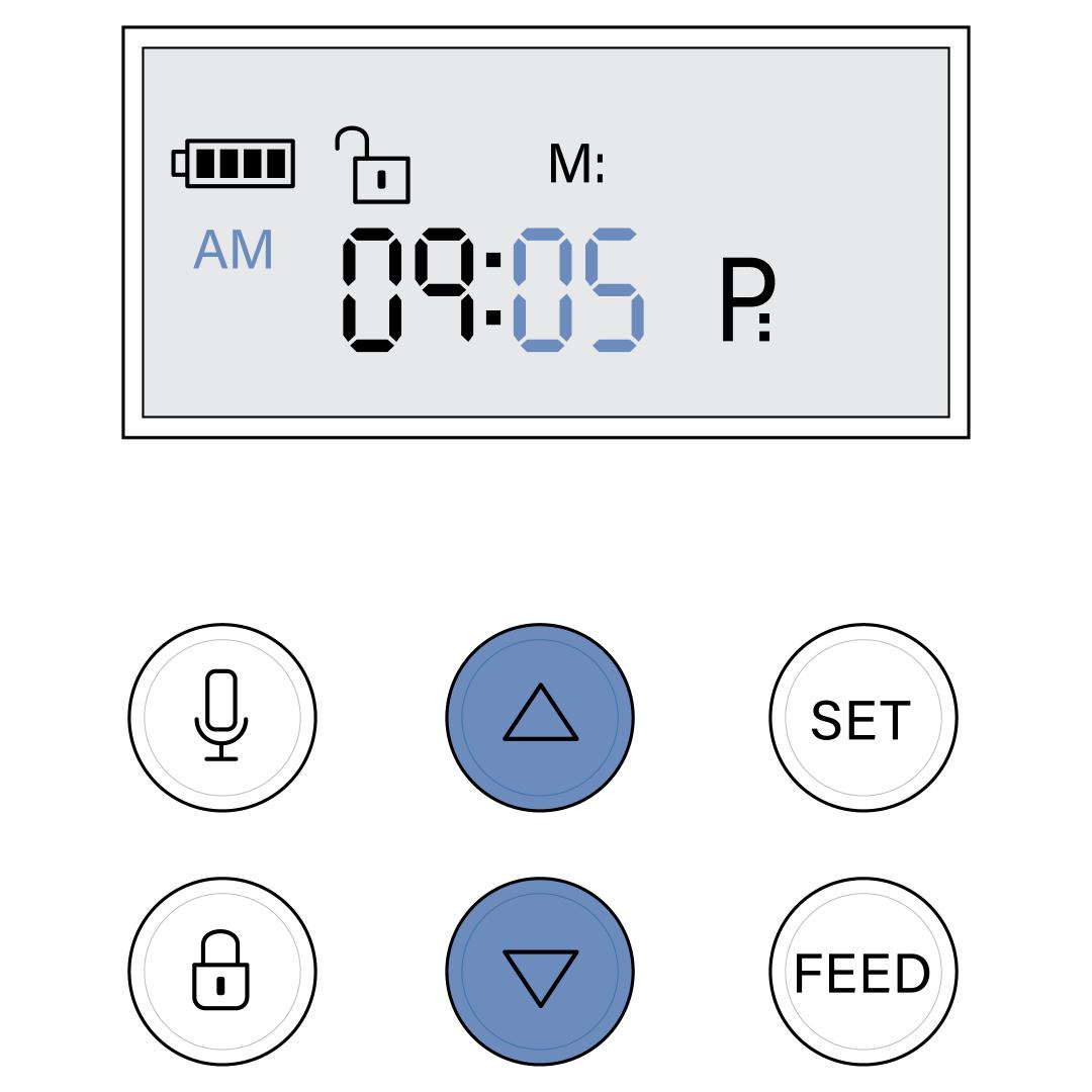 Minutes Field And Up Down Button