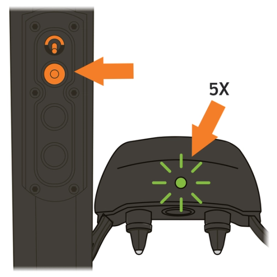 SD-ProHunter-2525_Press & Hold Top Button, Collar Light Flashes Green 5X, Toggle Down