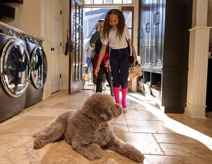 dog staying calmly inside home as door opens wide with invisible fence shields