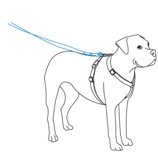 how-to-use-petsafe-sure-fit-harness-illustration2