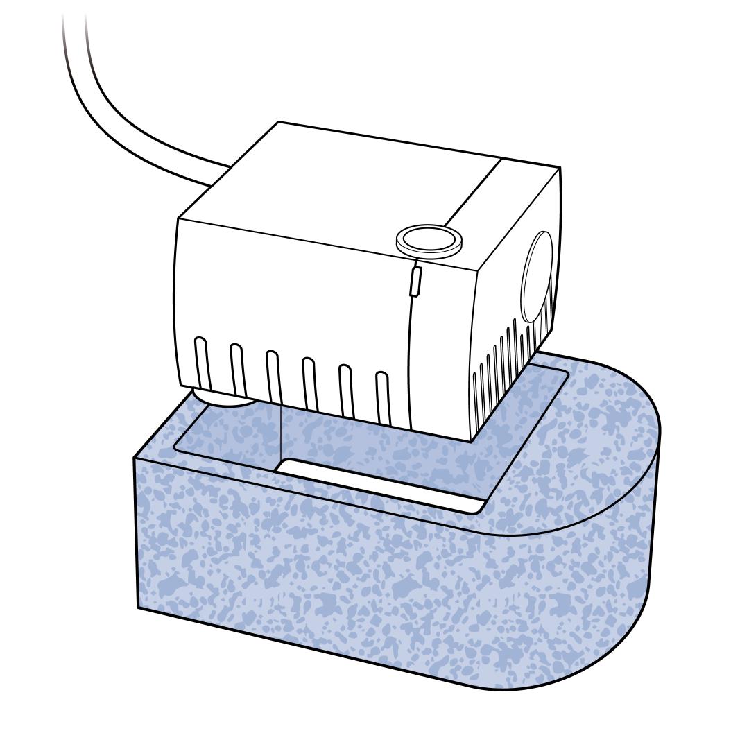 Install New Foam Filter