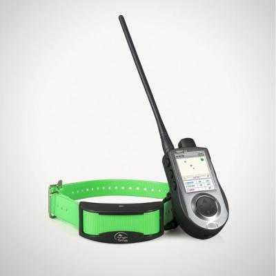 a gps tracking system for a dog with a bright green strap