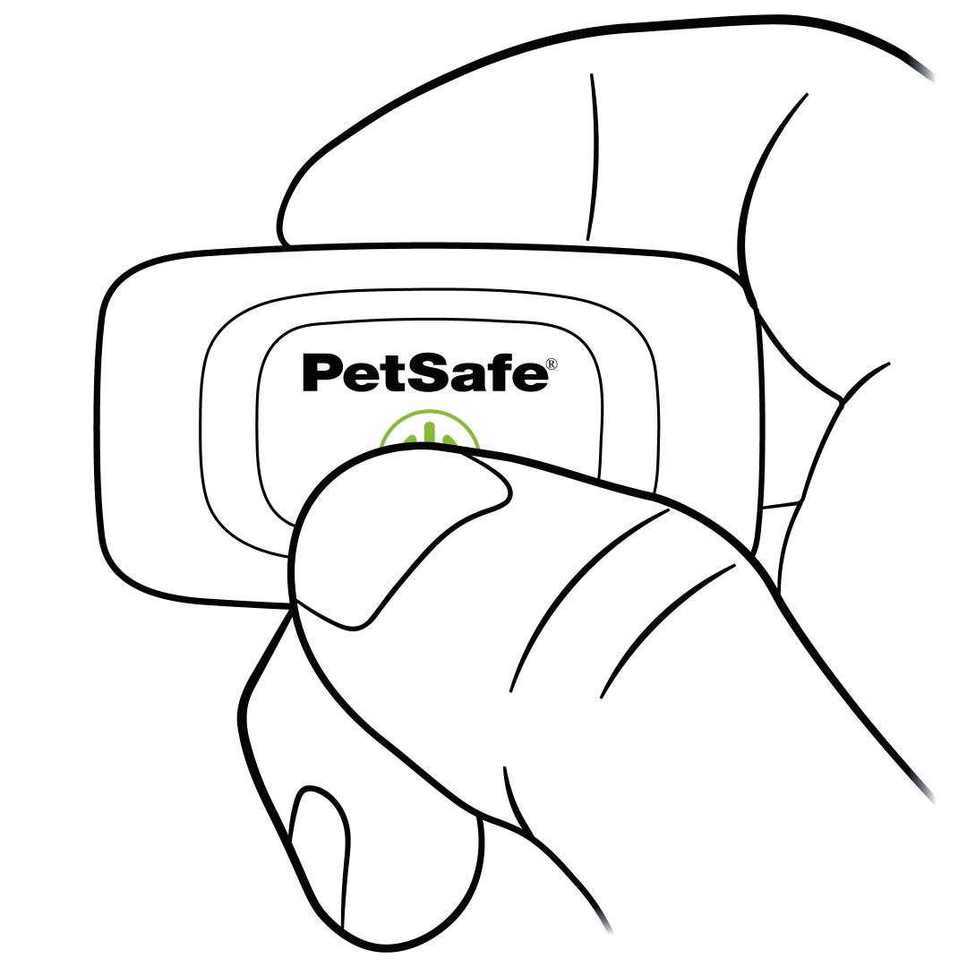 Press & hold collar power button