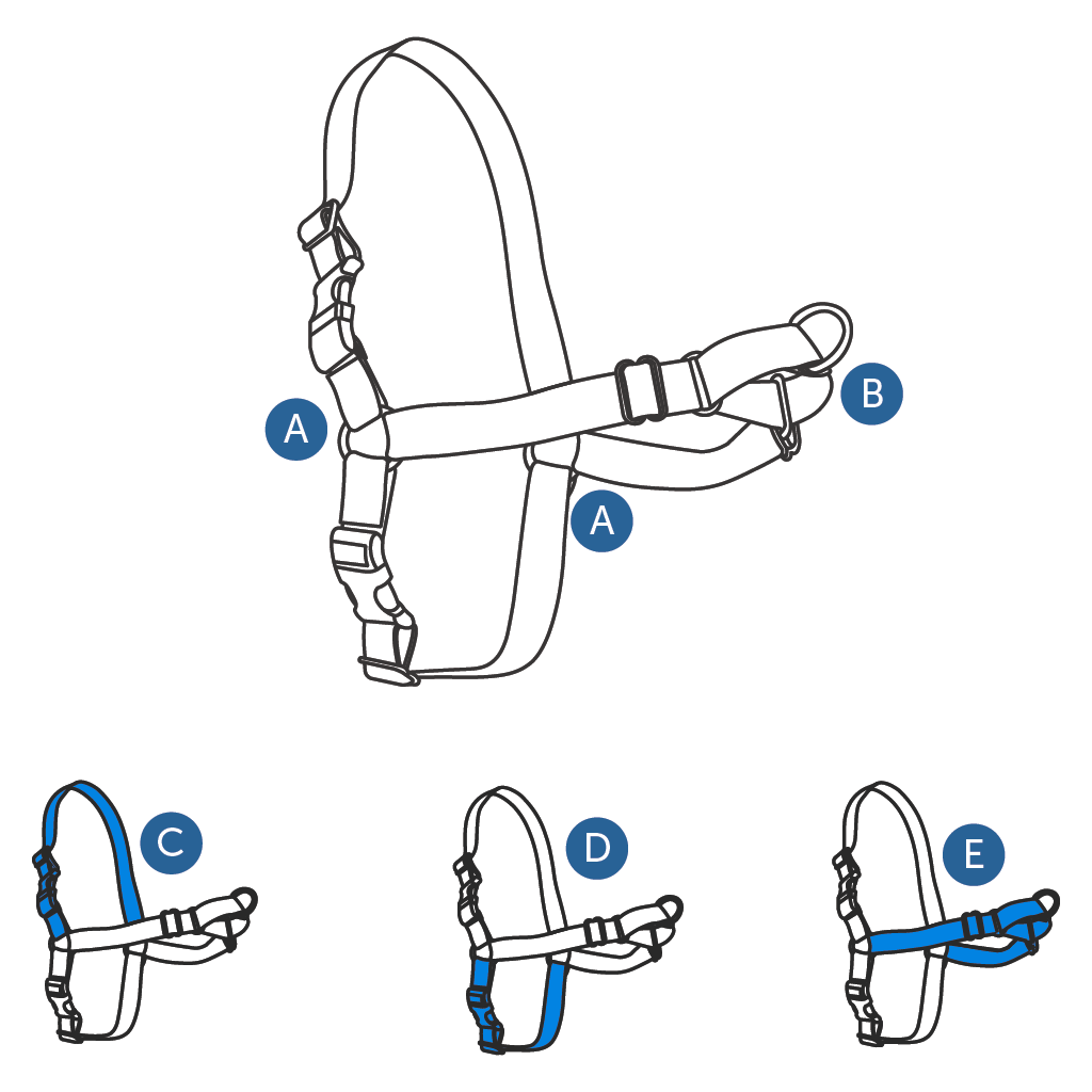 How to Adjust the Easy Walk® Harness for the Best Fit