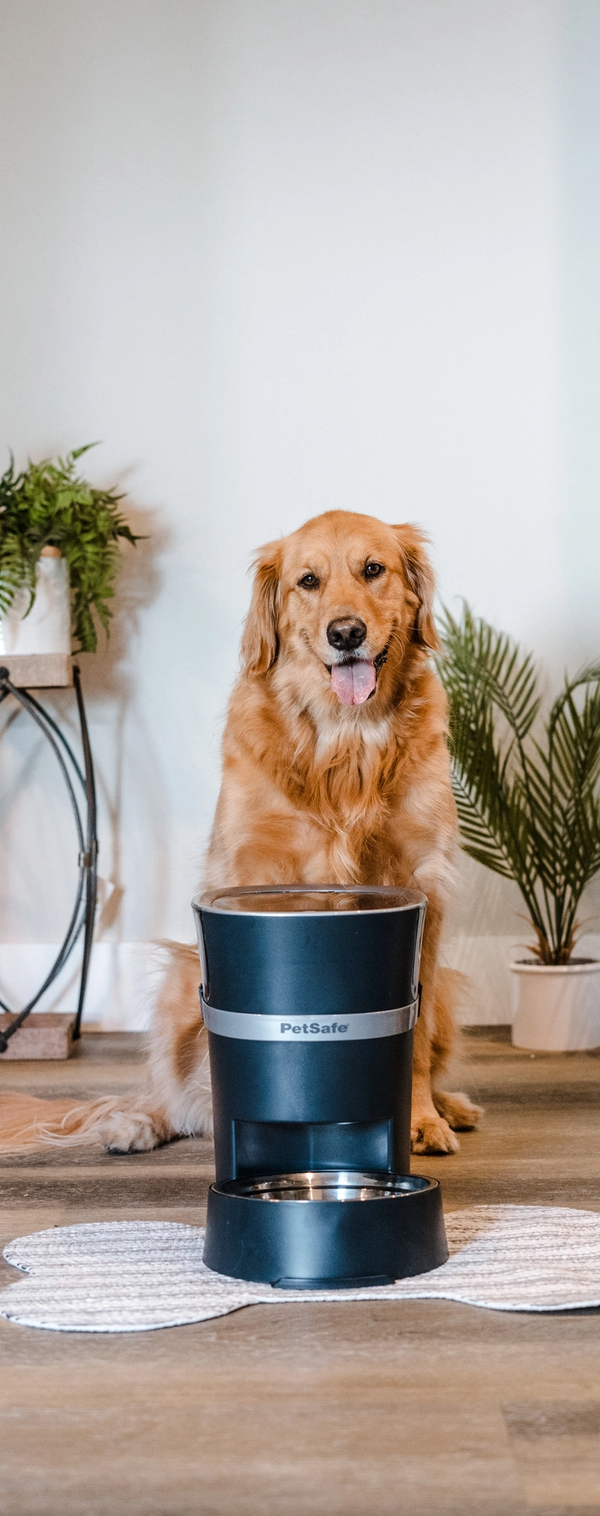 argumentaire marketing