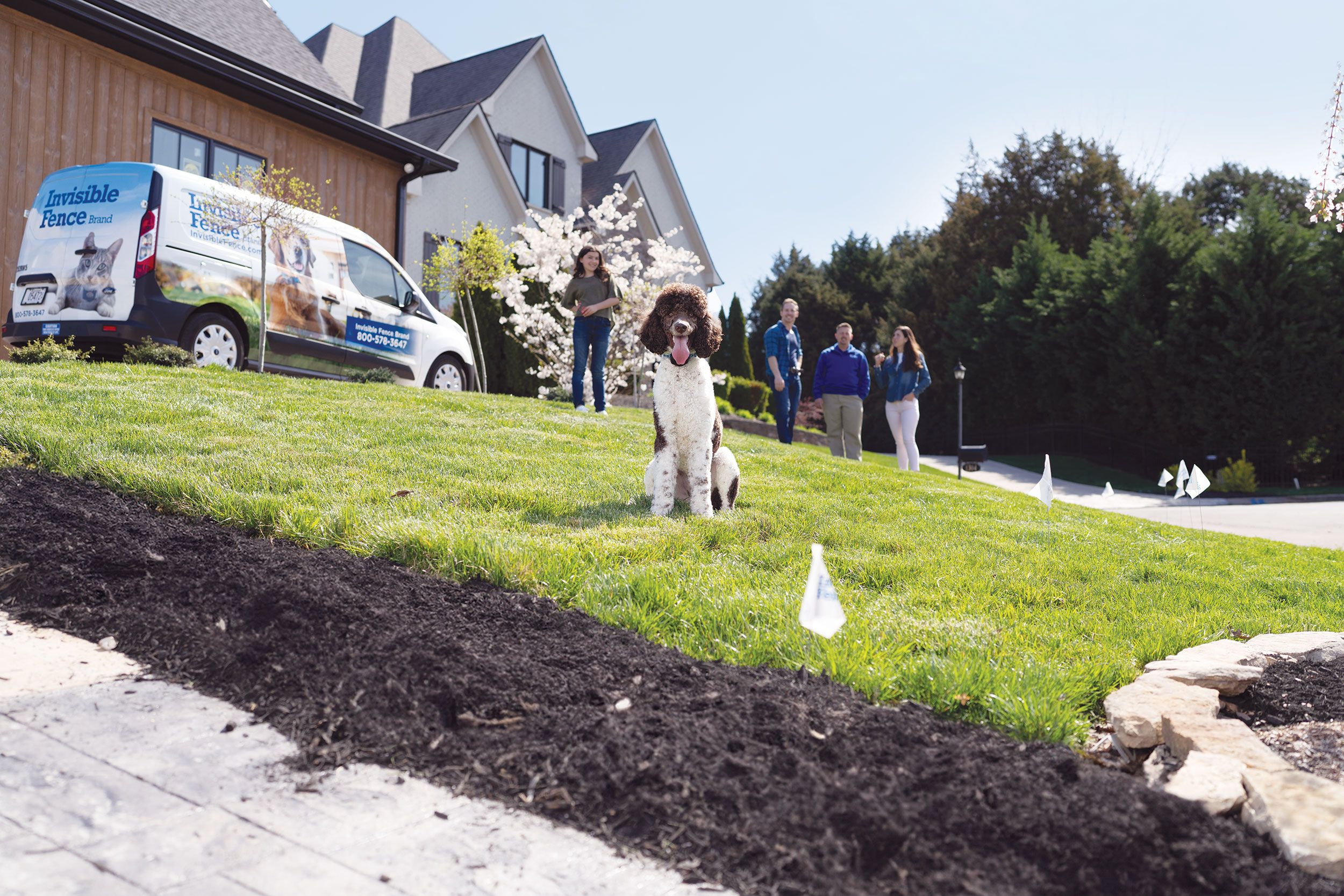 Dog wearing invisible fence collar running in yard with man and woman in background.