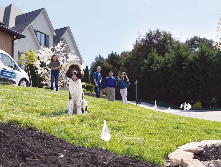 Dog wearing invisible fence collar running in yard with man and woman in background.