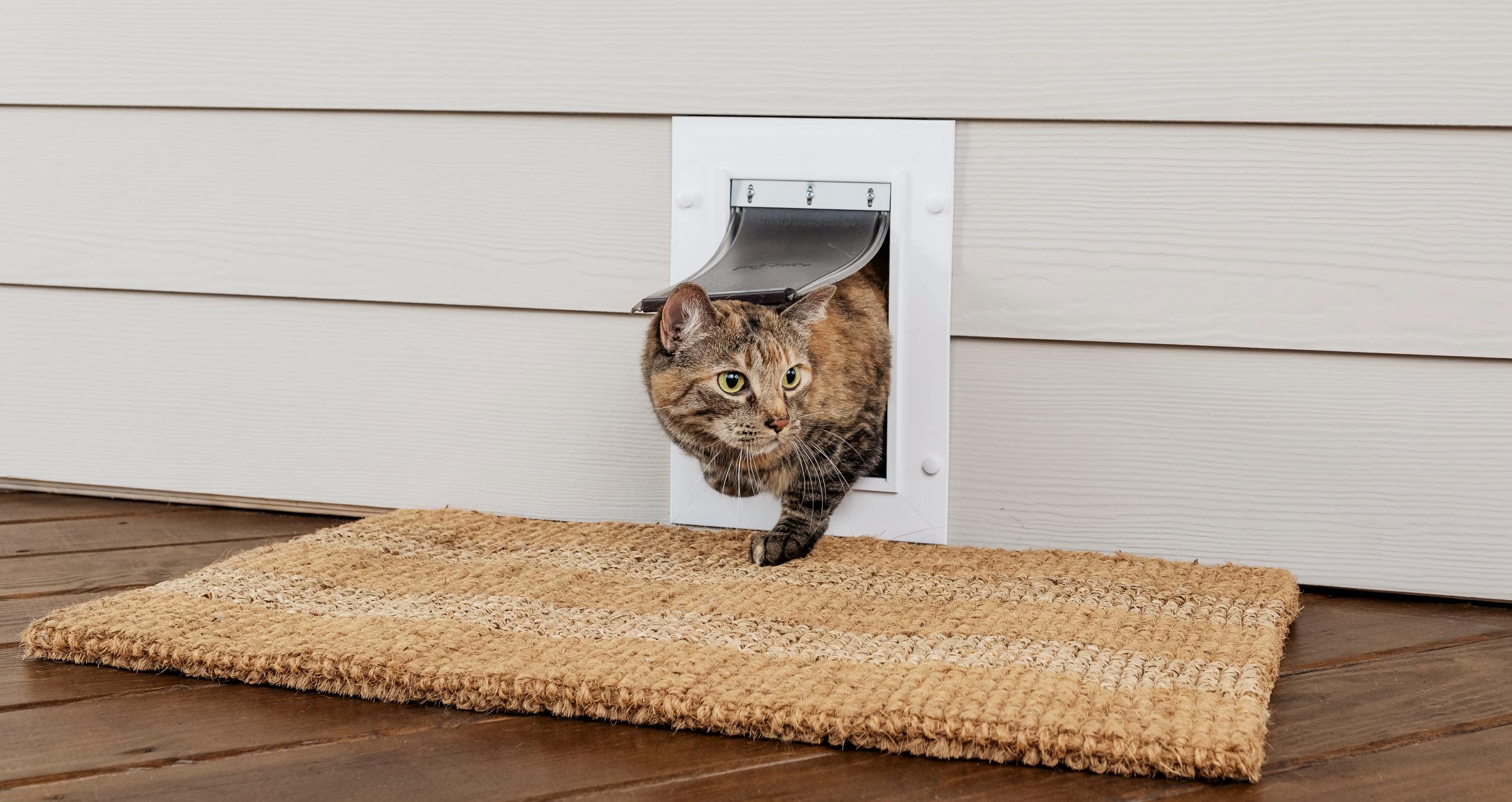 Cat exiting Wall Entry Pet Door