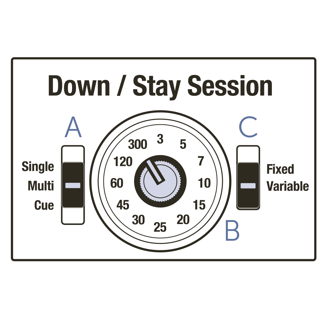 teach-&-treat-how-to-program-down-stay-session-controls-illustration