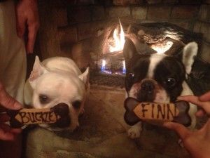 Buckley and Finn receive personalized treats at Alexander's Cabin in Asheville, NC.