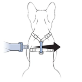 Attach Seatbelt To Back Of Harness