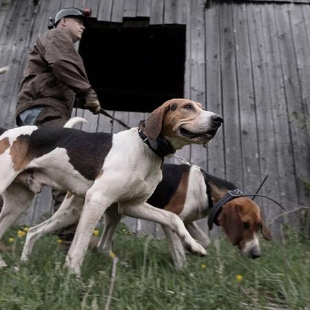 Controlling the Hunt with the HoundHunter® 3225