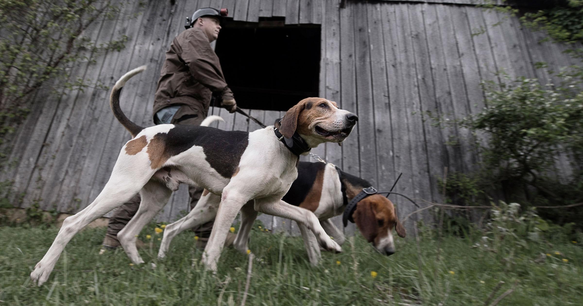 Controlling the Hunt with the HoundHunter® 3225