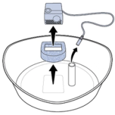 Remove Pump, Cord, and Foam Filter