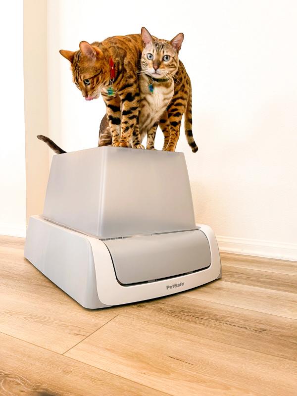 Two cats on top of the front-entry PetSafe ScoopFree Crystal Self-Cleaning Litter Box.
