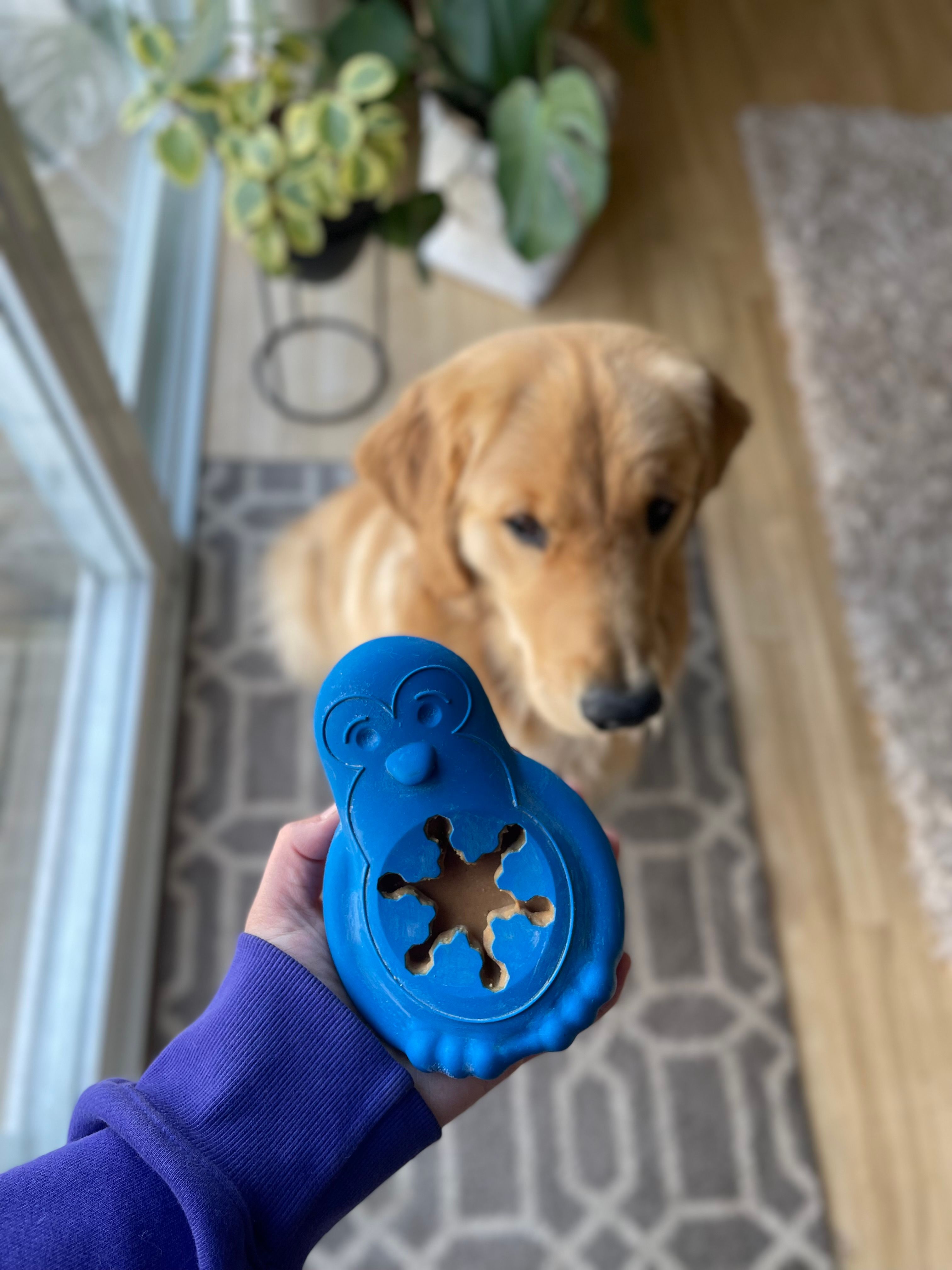 Dog Carriers, Travel Crates, & Travel Accessories PetSafe®