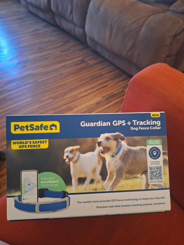 gps tracking collar box
