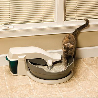 toxoplasmosis and automatic litterboxes