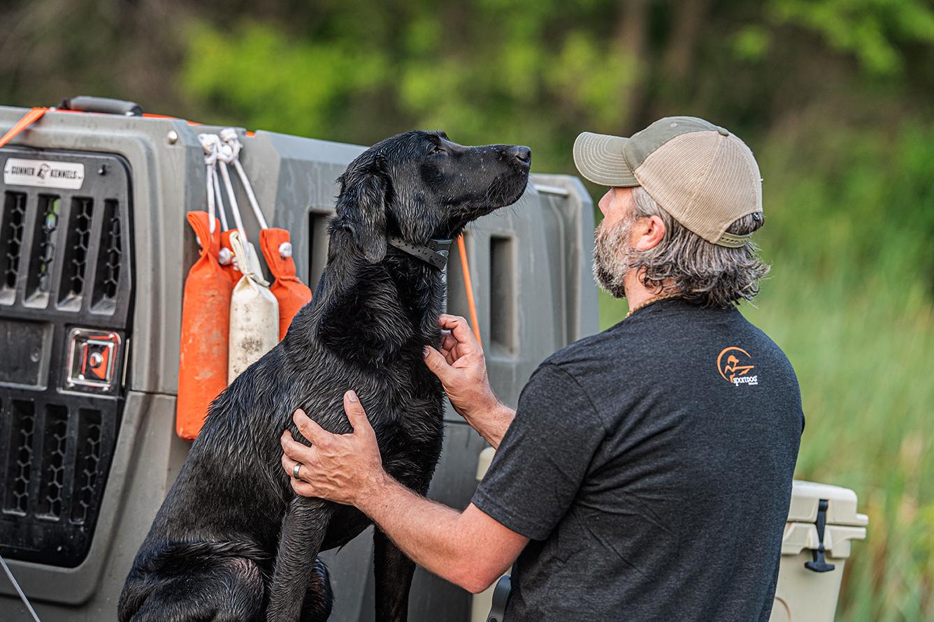 man petting black lab dog on tailgate