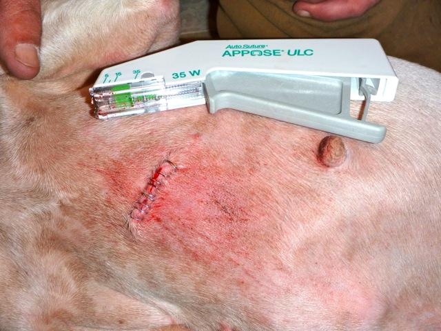 Skin Laceration Repair in the Field