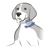 Check By Shifting Collar