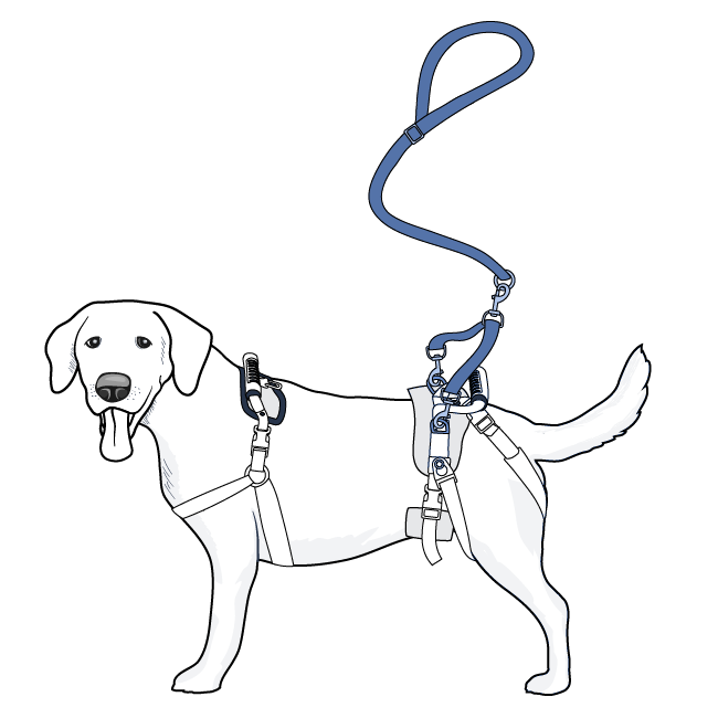 small-care-lift-support-harness-illustration