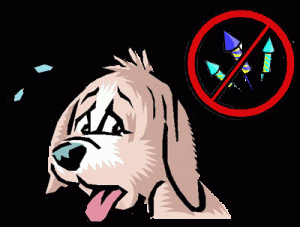 Prevent your dog from getting scared by fireworks desensitizing him before the big day.