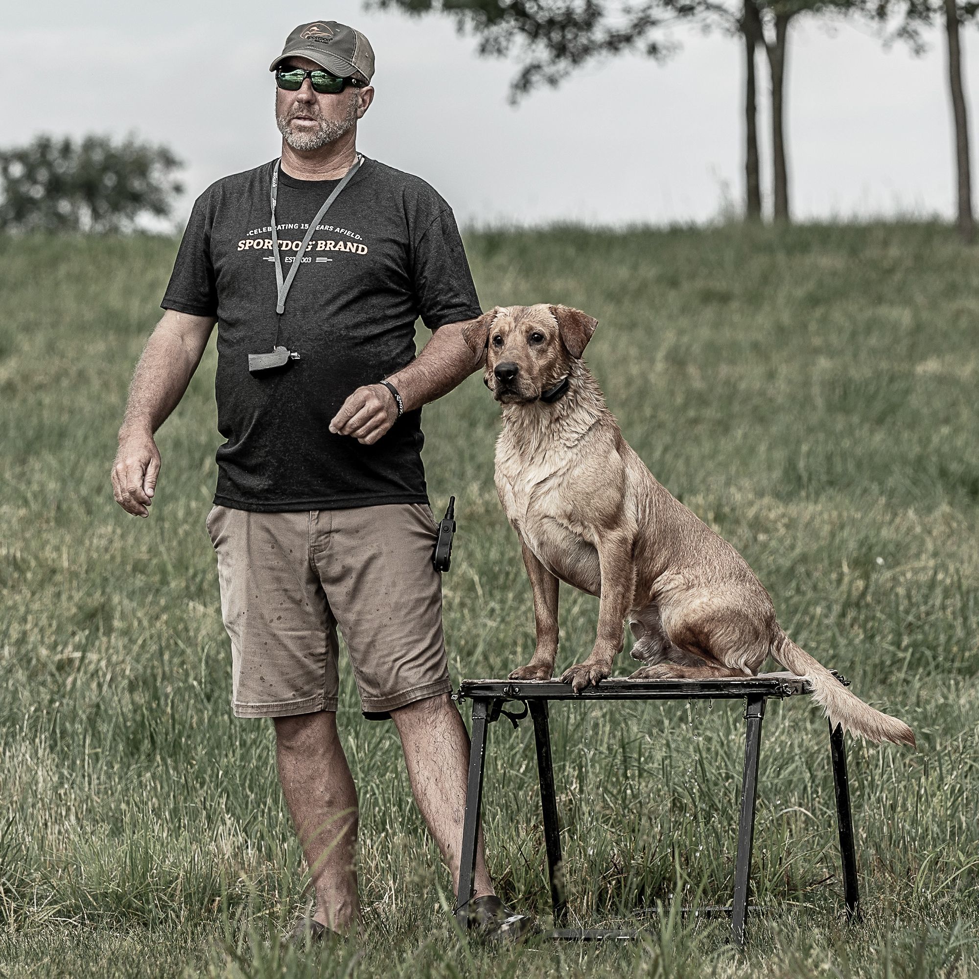 Hunting on sale dog training