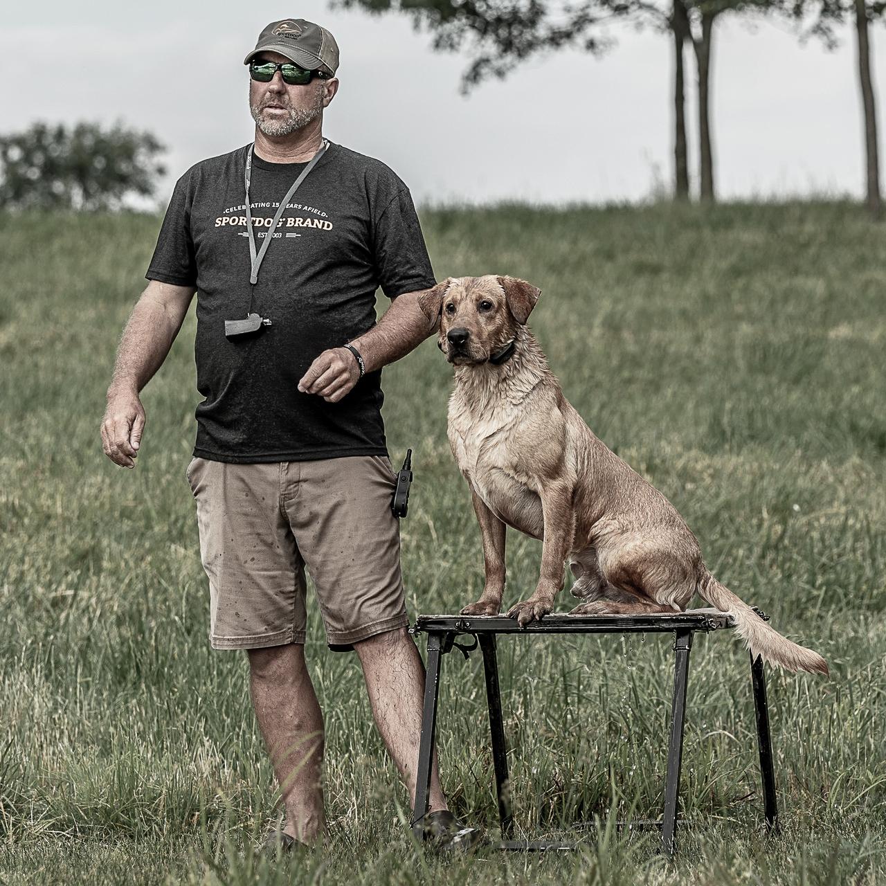 Man standing by yellow lab on dog stand. Both focused in on something far away.