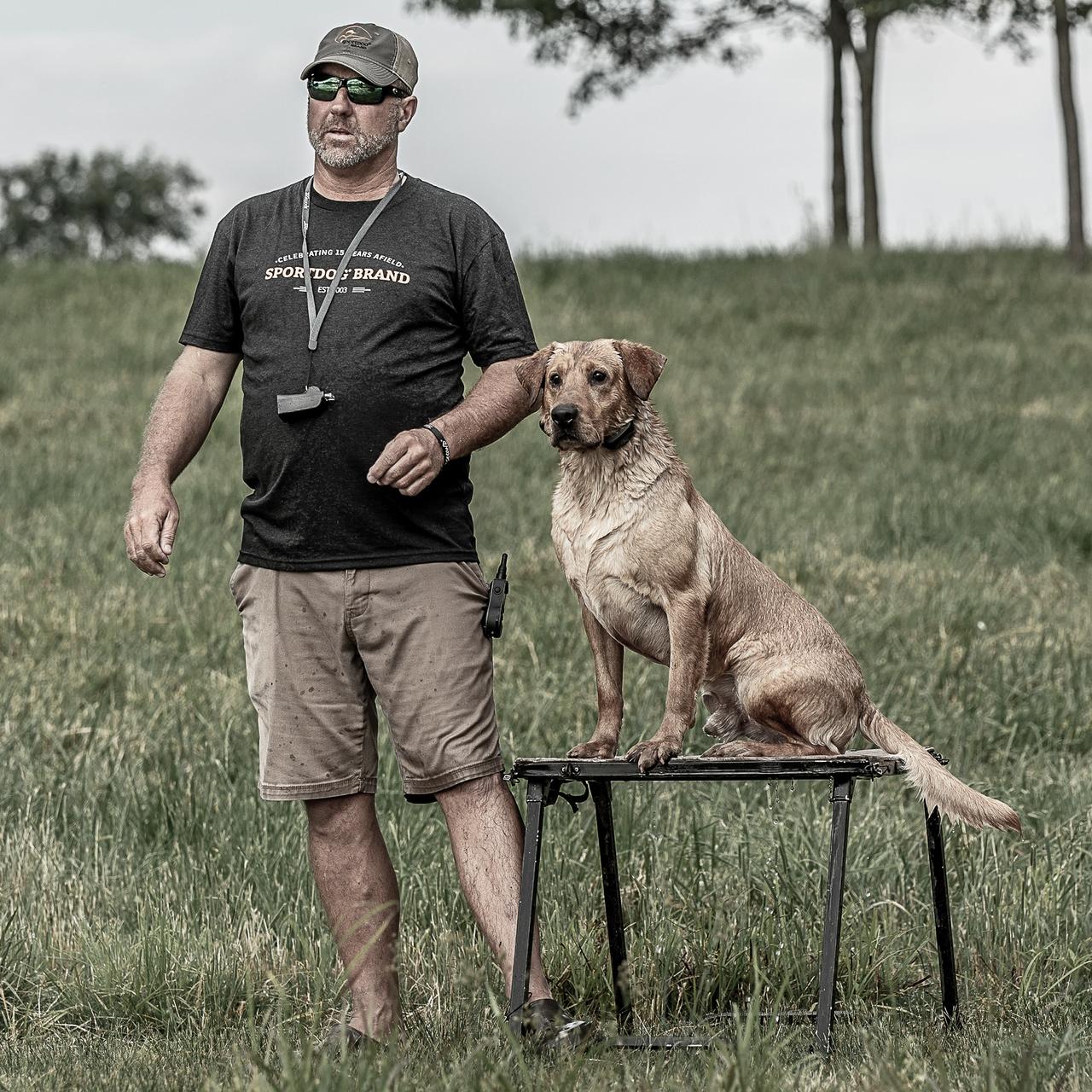 How To Train Your Labrador Retriever To Hunt