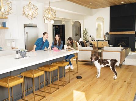 happy dog in well-organized home with invisible fence brand whole home system