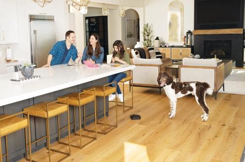 happy dog in well-organized home with Invisible Fence whole-home system