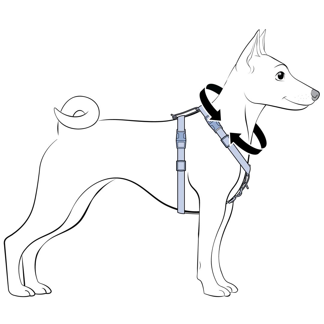 Measure Base of Your Dogs Neck