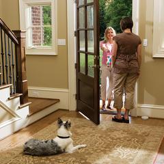 dog by door