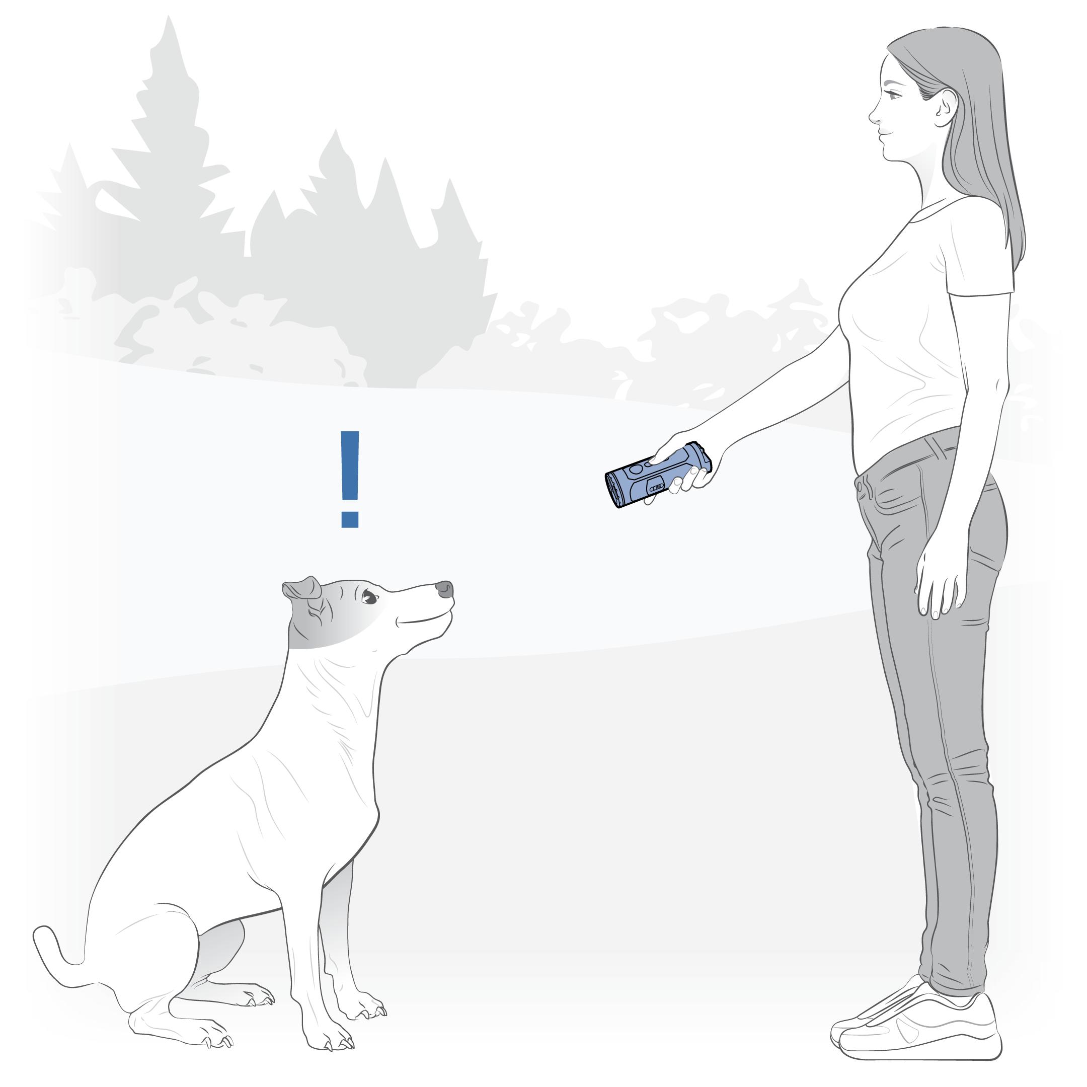 Training With Dog