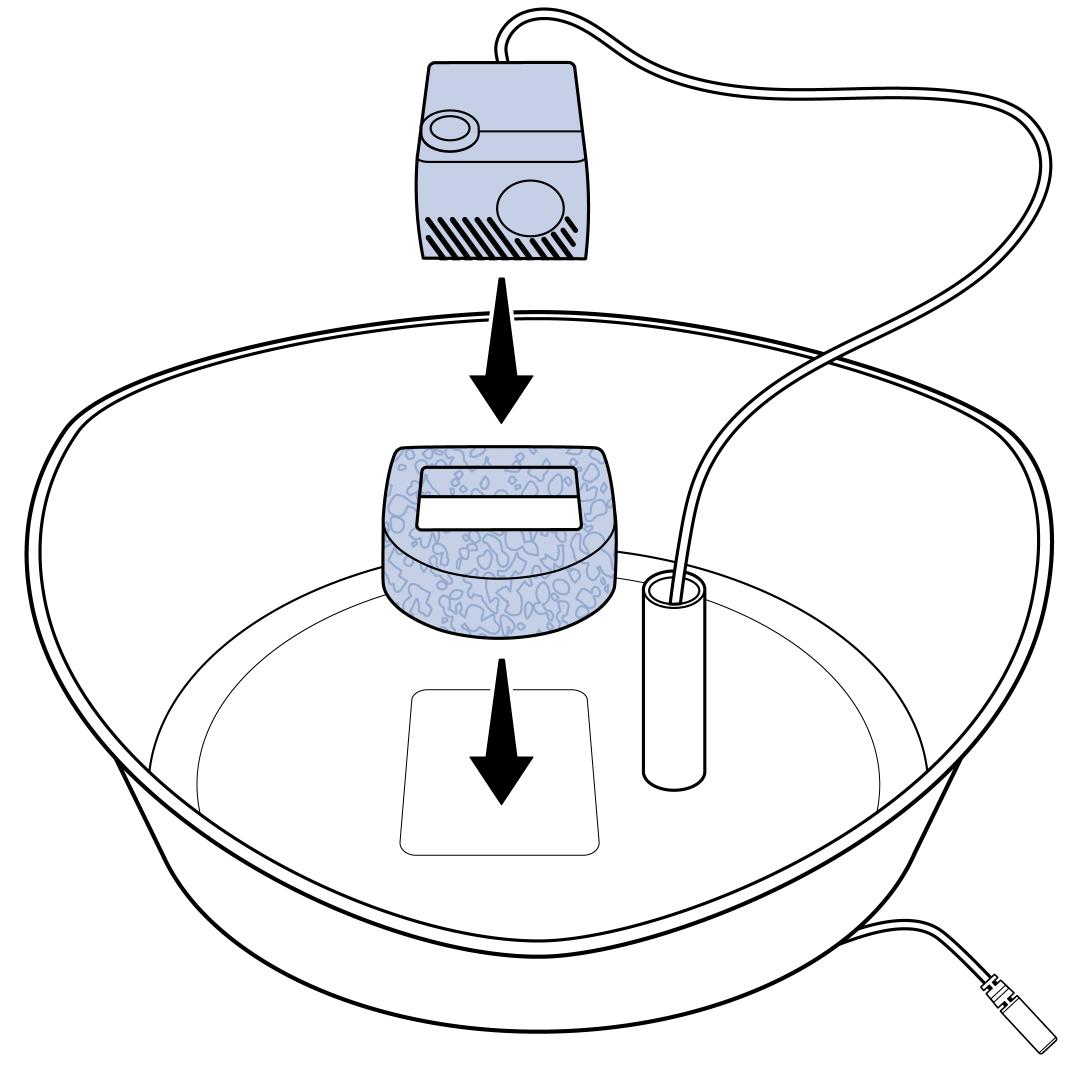Place Foam Filter Around Pump