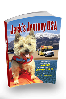 Dog Book Review: Jack's Journey USA