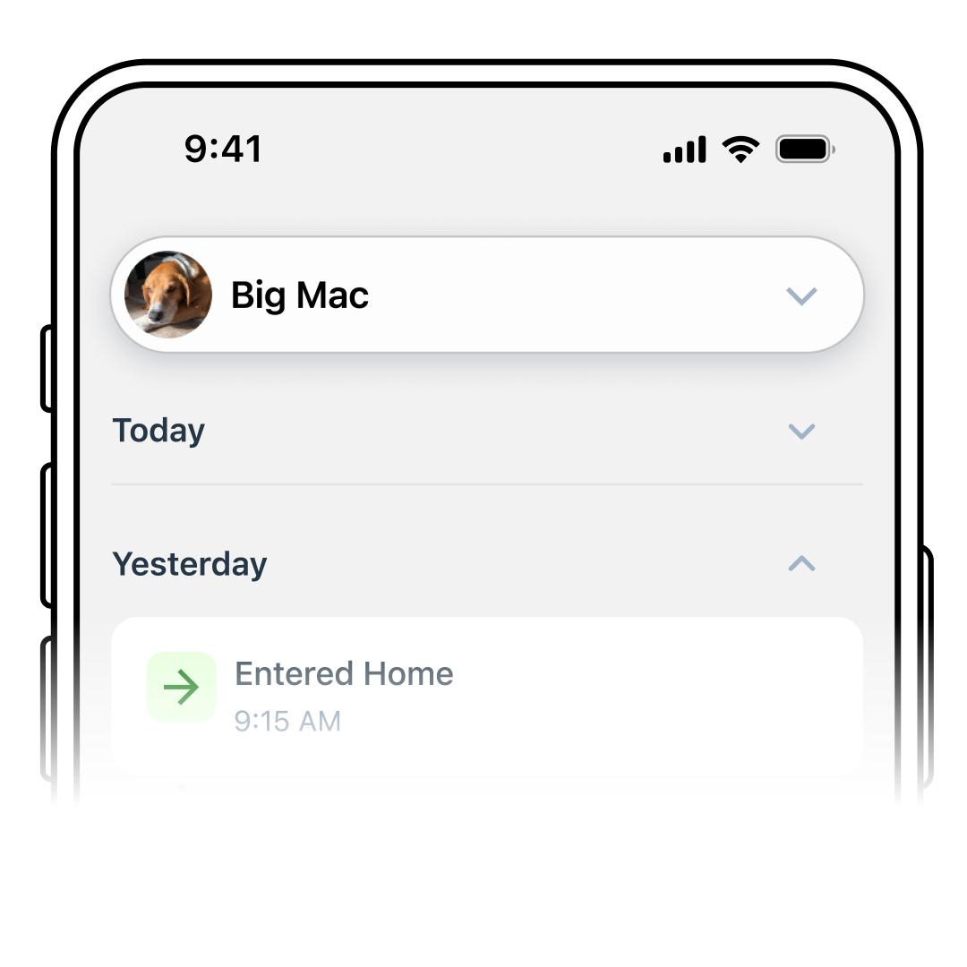 Drop Down Big Mac