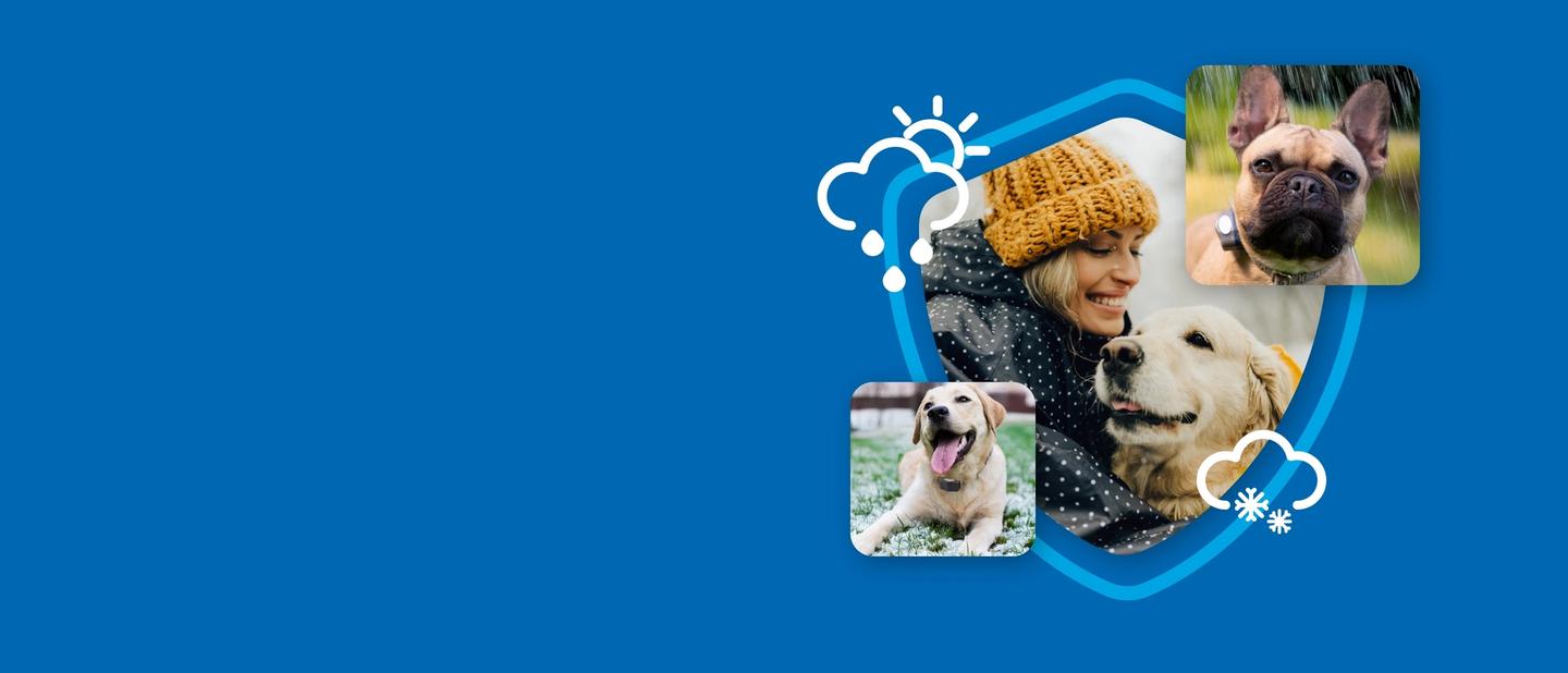 Different weather icons surrounding pets to show Invisible Fence works in all weather.