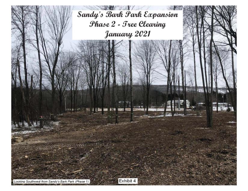 Exhibit-4-Dog-Park-Phase-II-Clearing-Photo