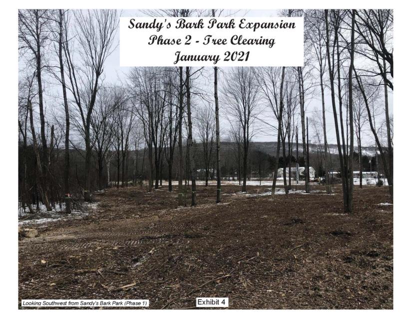 Exhibit-4-Dog-Park-Phase-II-Clearing-Photo