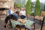 dog eating from table