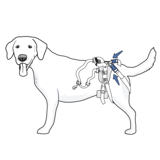 setup-rear-harness-care-lift-support-harness-illustration3