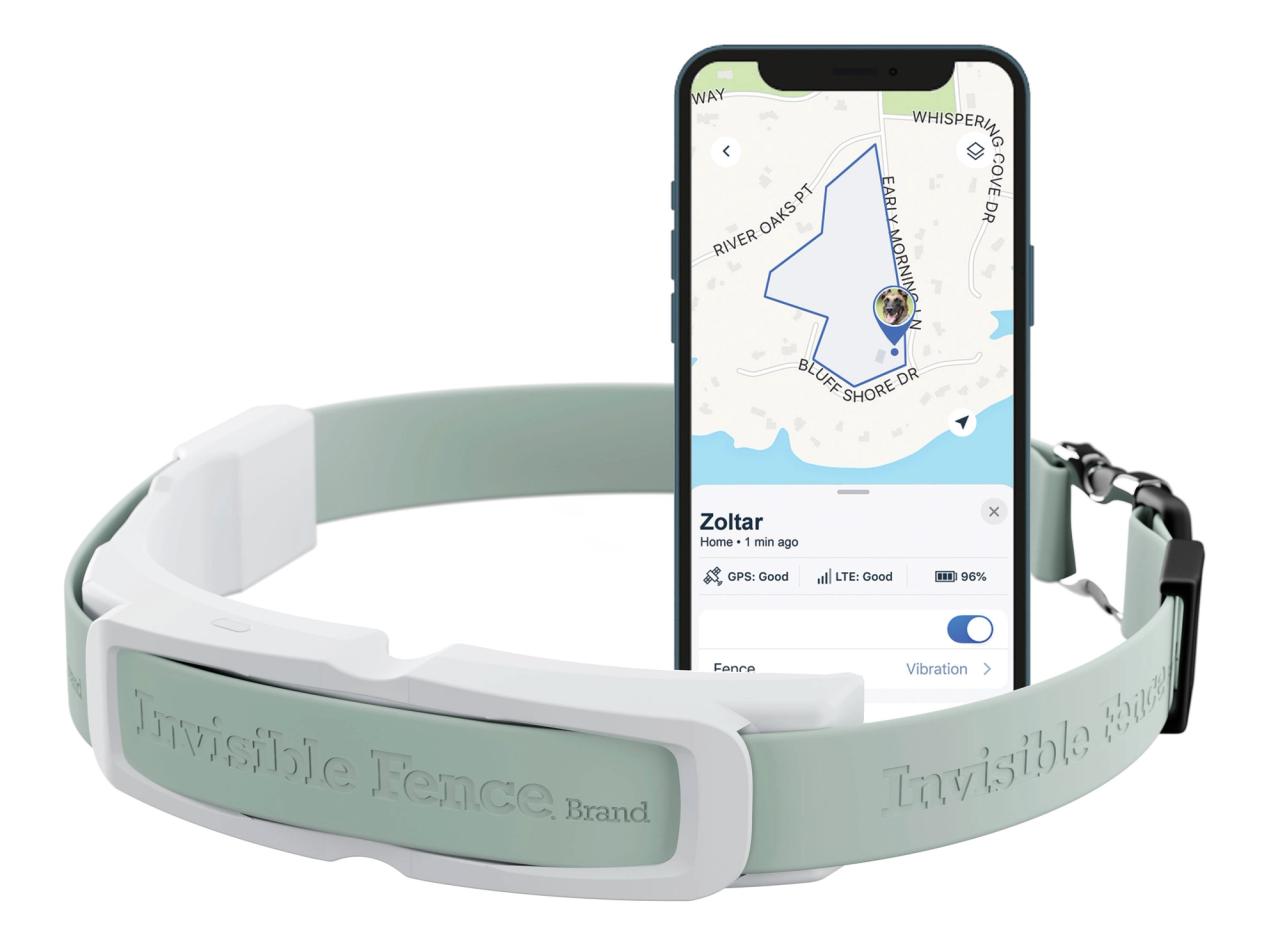 gps collar with phone app