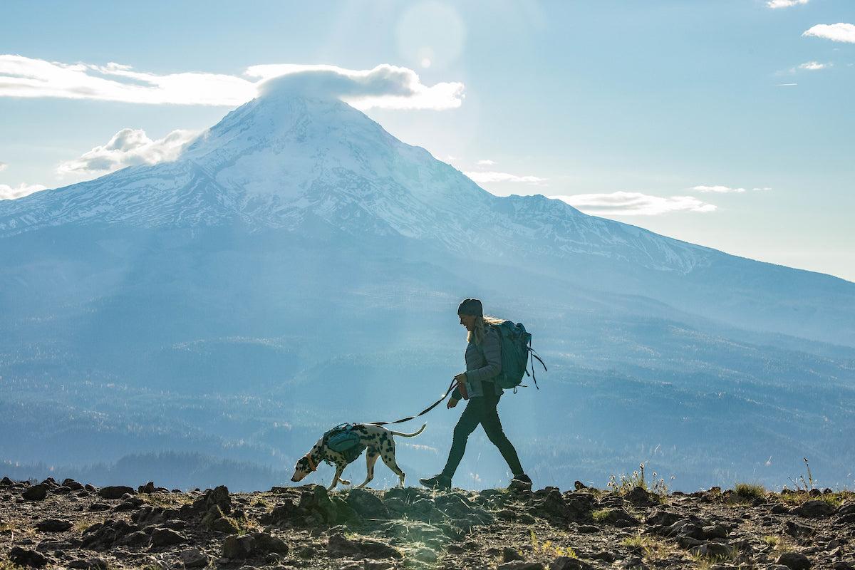 How to Keep Your Dog Safe on the Trail - Kurgo Dog Products