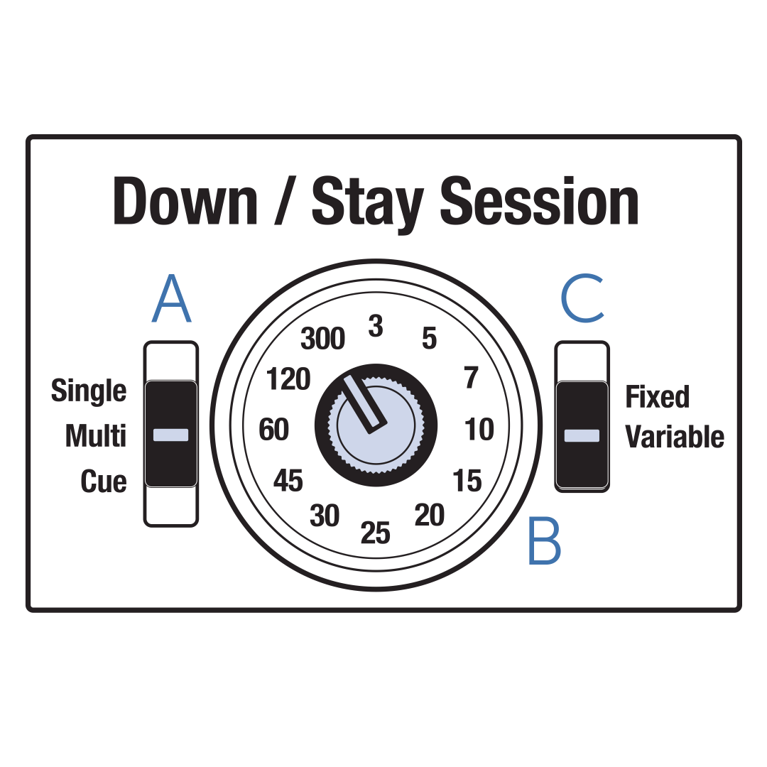 teach-&-treat-how-to-program-down-stay-session-controls-illustration