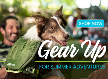 Gear Up for Summer Adventures - Shop Now