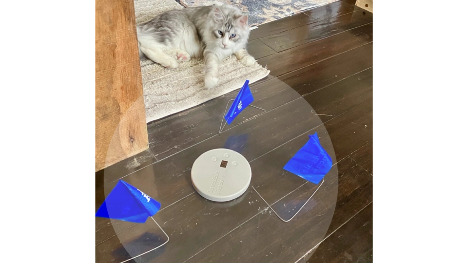 A white and gray cat putting its paw into the signal field of the Indoor Shields Plus unit with flags stationed around it and a transparent gray bubble signifying where the signal field is.